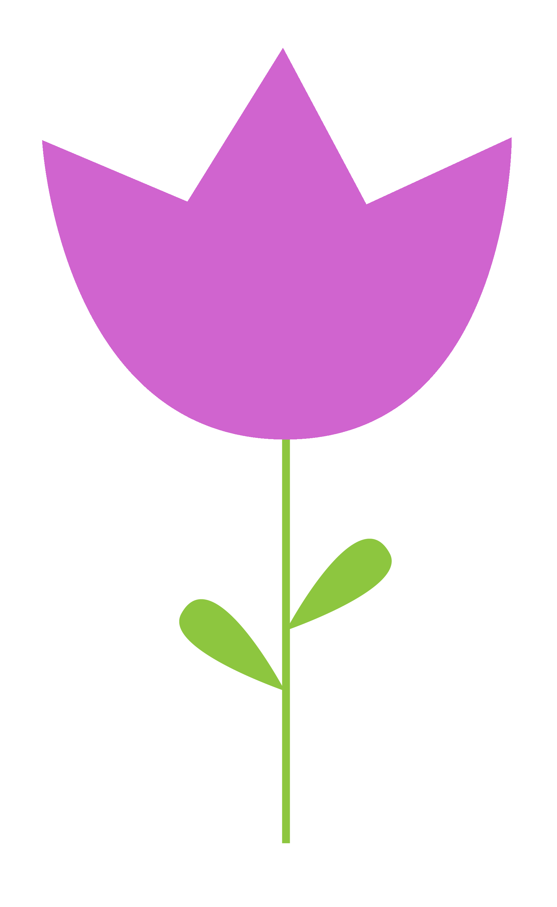 Blume Tulpe lila